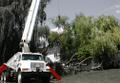 Crane lifting willow tree off house