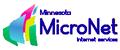 Minnesota MicroNet
