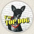 I'm Top Dog!