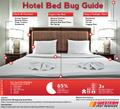 Bed Bug Infographic