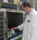 Veterinary Staff at Care Animal Hospital in Muncie IN