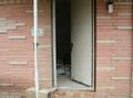 Before, Brick House with Door Open, Building Contractor in North Richmond Hills, TX