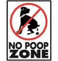 No pooping in the house!
