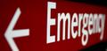 Veterinary Emergency Services at Affiliated Veterinary Emergency Service