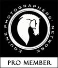 Equine Photographers' Network organization site
