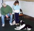 Students at a Beginners Obedience training class