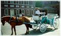 Horse Drawn Carriage Rides and Tours