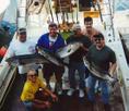Tuna Hunter Charters from Cape Ann Marine
