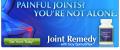Joint Remedy Supplement