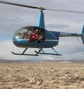 Pronghorn Trap Helicopter, click to link to read full story