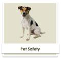 Pet Safety with McClain Insurance, Everett, WA