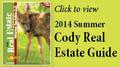 Cody Real Estate Guide