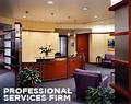 Professional Services Firm