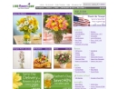 Fallbrook Florist's Website