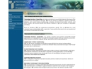 TECHNOLOGY SERVICES CORP's Website