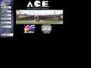 ACE Intl Co Inc's Website