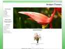 Andean Spring Flowers's Website