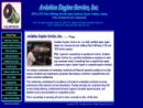 Aviation Engine Svc Inc's Website
