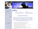 BANYAN AIR SERVICE INC's Website