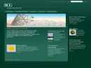 Boston Consulting Group's Website