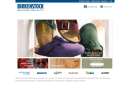 Birkenstock Feet First's Website