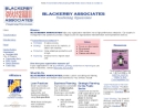 BLACKERBY ASSOCIATES INC's Website