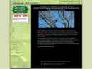 Branches Tree Experts's Website