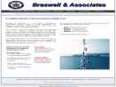 Braswell & Assoc's Website