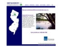 BRINKERHOFF ENVIRONMENTAL SERVICES INC's Website