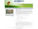 Bursich Associates Inc's Website