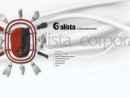 Calista Corporation's Website