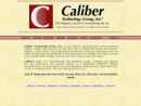 Caliber Technology Group Inc's Website