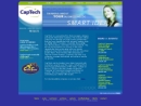 CAPTECH VENTURES INC's Website