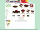 Carrollwood Florist's Website