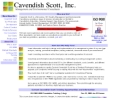 CAVENDISH SCOTT INC's Website