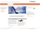 Celanese Chemicals's Website