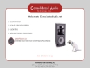 CONSOLIDATED AUDIO TECHNOLOGY INC's Website