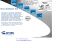 Copy Systems Inc's Website
