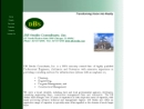DB STERLIN CONSULTANTS, INC.'s Website