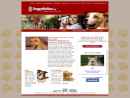 Doggywalker.com's Website