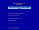 DOWNHOLE SYSTEMS INC.'s Website