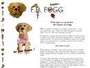 FB FOGG Inc's Website
