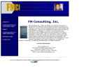 FM Consulting Inc's Website