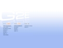 G2E SERVICES, INC.'s Website