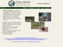 GALLAWAY CONSULTING, INC's Website