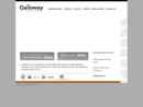 Galloway & Company, Inc.'s Website