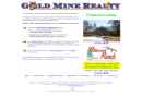 Gold Mine Realty's Website