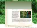 INVASIVE PLANT CONTROL INC's Website