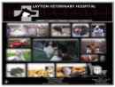 Layton Veterinary Hospital's Website