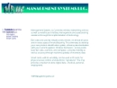 MANAGEMENT SYSTEMS LLC's Website